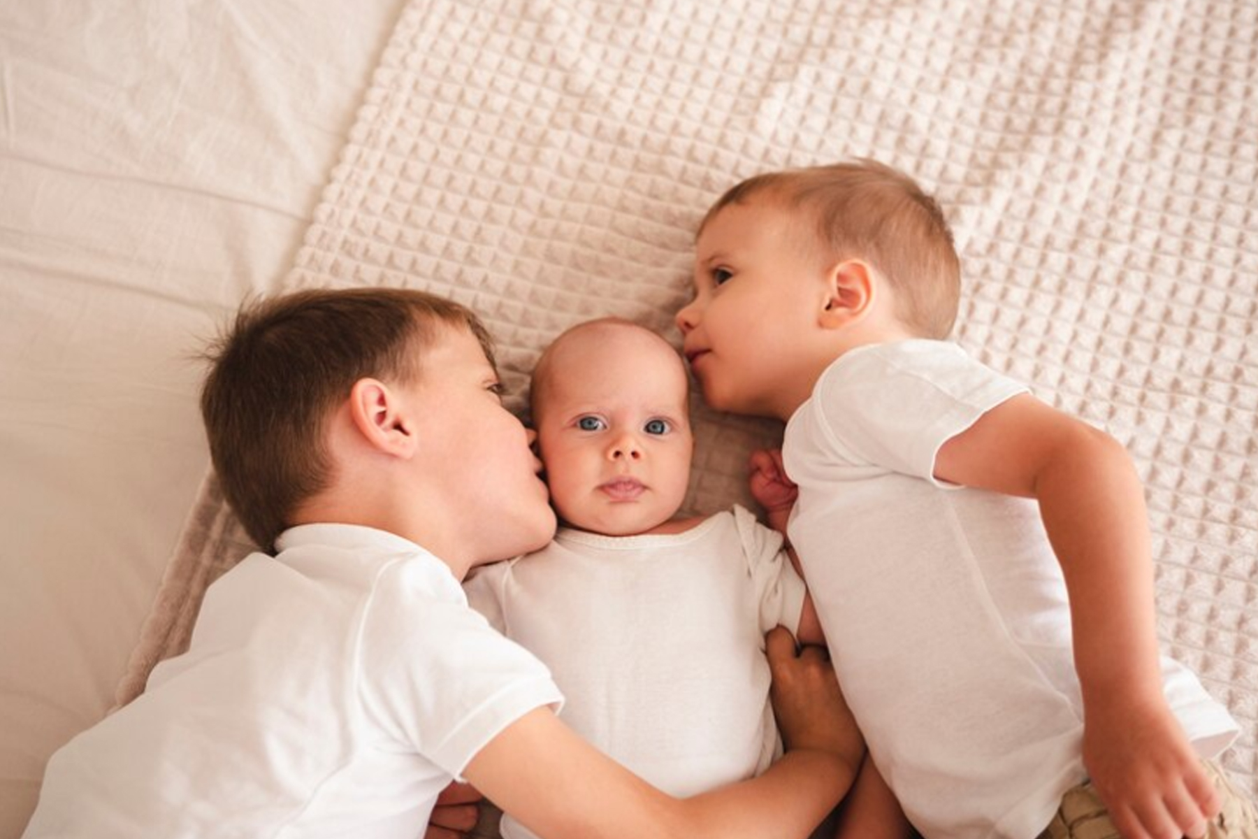 /user/m/momgreencare/editor/2411/c30f20955e91fe282ae6b6cea99dec28_1732863673_5171.jpg 이미지크게보기