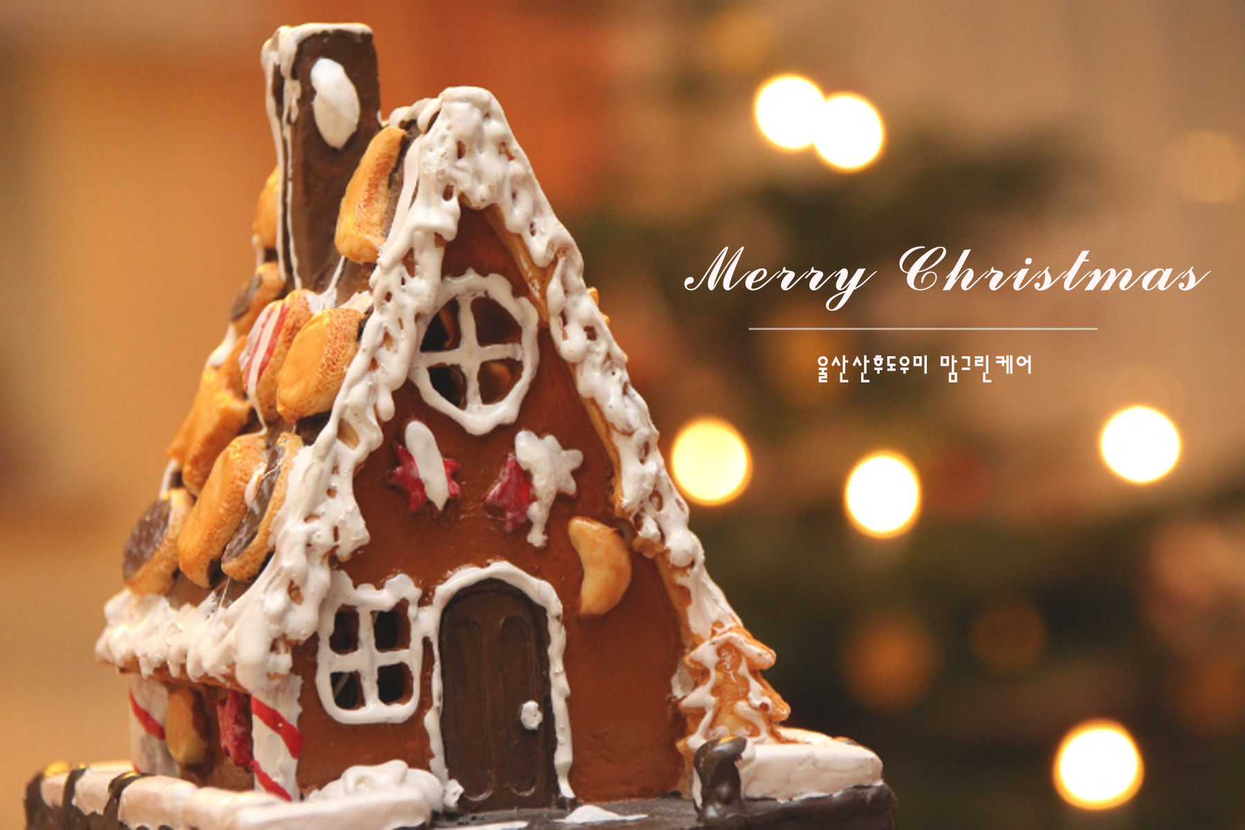 /user/m/momgreencare/editor/2412/bb6ce7e5e4d10e39b26fad9532e235a5_1735010491_4927.jpg 이미지크게보기