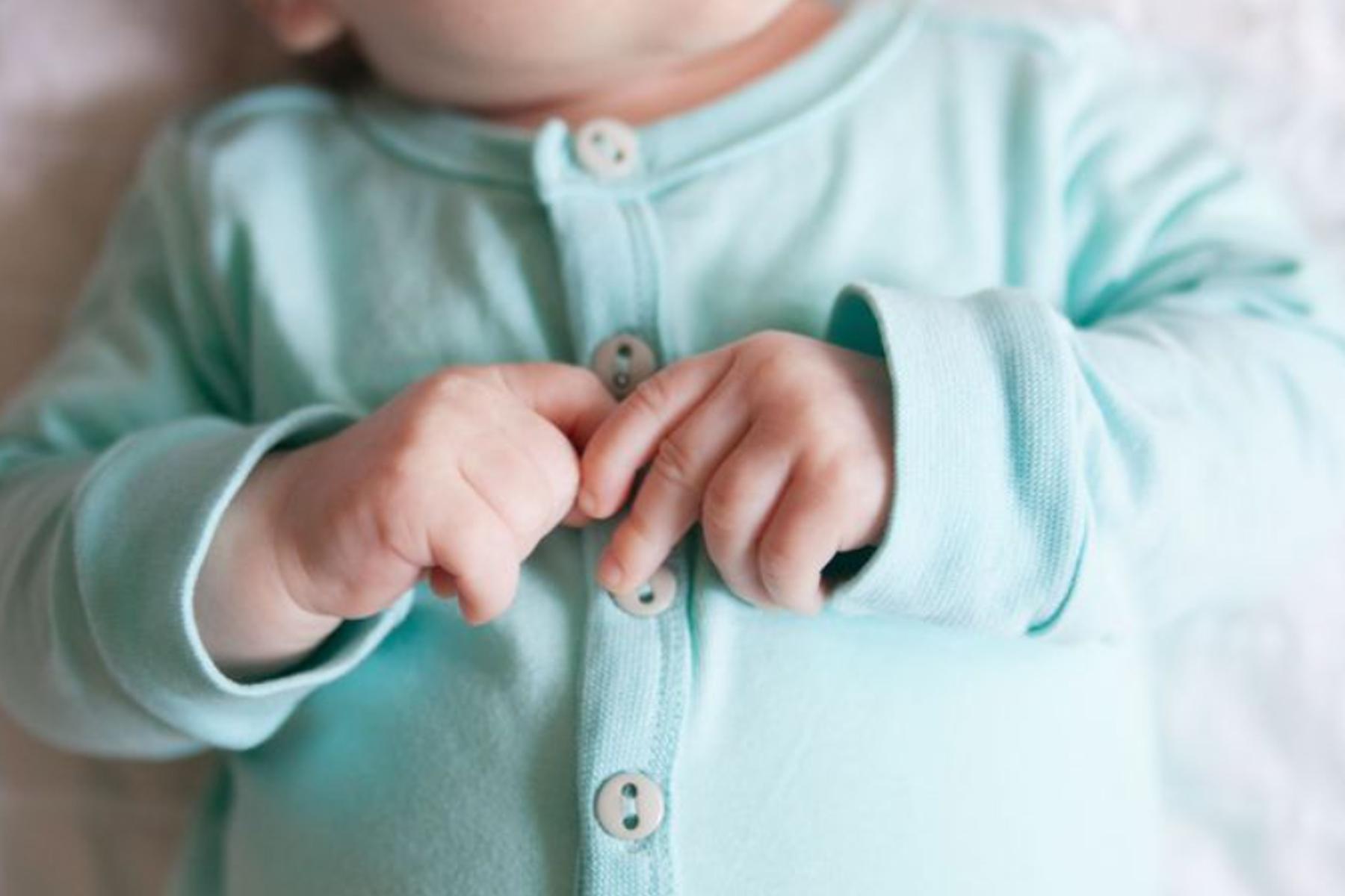 /user/m/momgreencare/editor/2504/3f14031497d78845920b96beb971d03c_1743642898_3514.jpg 이미지크게보기