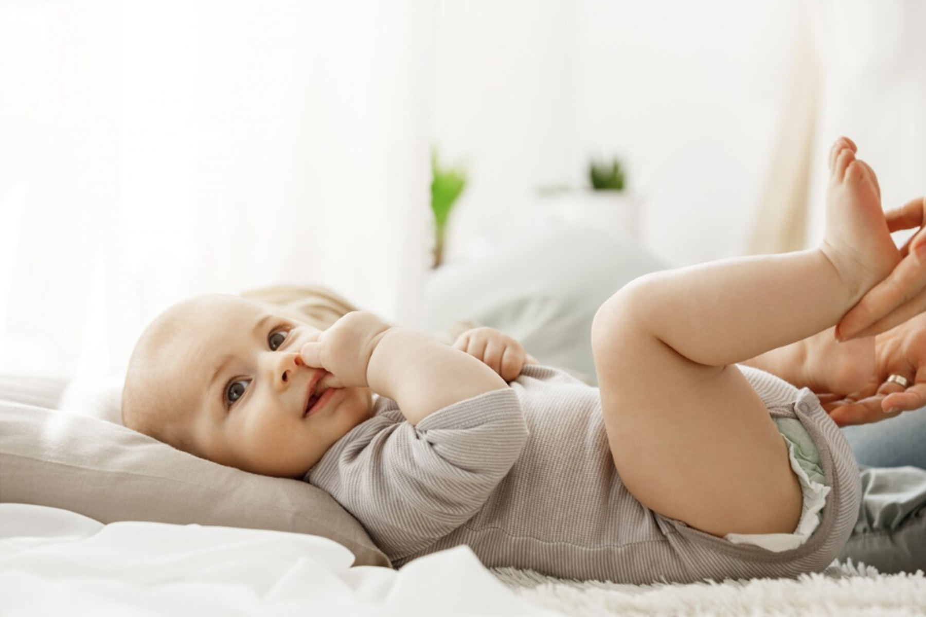 /user/m/momgreencare/editor/2507/3c2cc9c3a717f3aa89211f93d53fee7d_1752729827_2837.jpg 이미지크게보기