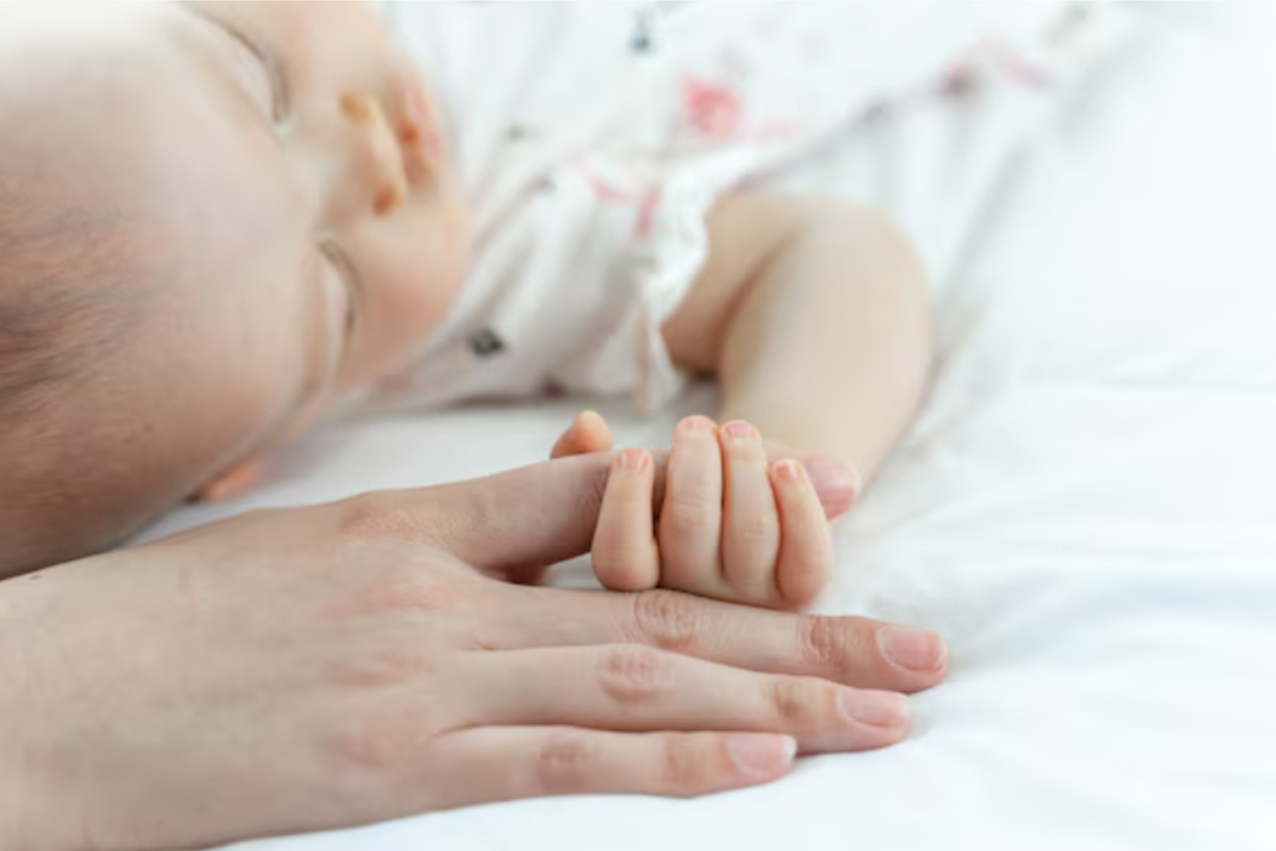 /user/m/momgreencare/editor/2508/eaa05eea26e46b7371af1d60218bfa73_1755602013_3962.jpg 이미지크게보기