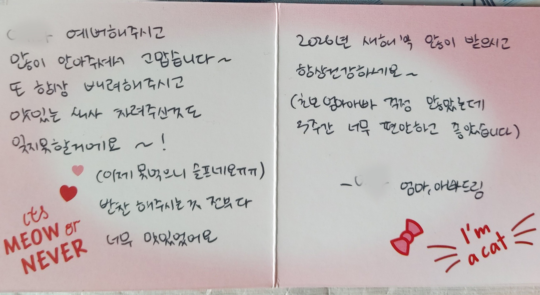 /user/m/momgreencare/editor/2601/218ab829b2732ea87037e1a97abaa120_1768888120_0409.jpg 이미지크게보기